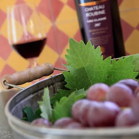 Le Mas Des Candeliers At Chateau Roubine